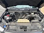 2023 Ford F-150 SuperCrew Cab 4x4 Pickup for sale #U2526751 - photo 26