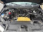 2020 Ford F-150 SuperCrew Cab 4x4 Pickup for sale #U2526752 - photo 30