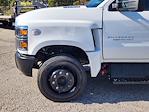 2023 Chevrolet Silverado 6500 Regular Cab DRW RWD Cab Chassis for sale #23CF1475 - photo 5