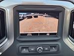 2024 Chevrolet Silverado 1500 Regular Cab 4WD Pickup for sale #24CF1368 - photo 13
