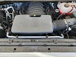 2024 Chevrolet Silverado 1500 Regular Cab 4WD Pickup for sale #24CF1368 - photo 19