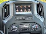2024 Chevrolet Silverado 1500 Regular Cab 4WD Pickup for sale #24CF1375 - photo 13