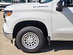 2024 Chevrolet Silverado 1500 Regular Cab 4WD Pickup for sale #24CF1375 - photo 5