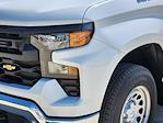 2024 Chevrolet Silverado 1500 Regular Cab 4WD Pickup for sale #24CF1375 - photo 6