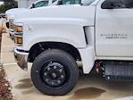 New 2024 Chevrolet Silverado 5500 RWD STAKE BED REG CAB Regular Cab RWD 18' Morgan Truck Body Stake Bed for sale #24CF1553 - photo 5