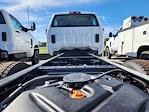 New 2024 Chevrolet Silverado 5500 Work Truck Crew Cab Cab Chassis for sale #24HD1596 - photo 21
