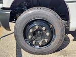 New 2024 Chevrolet Silverado 5500 Work Truck Crew Cab Cab Chassis for sale #24HD1596 - photo 9