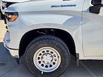 2025 Chevrolet Silverado 1500 Regular Cab 2WD Pickup for sale #25LD0468 - photo 5