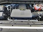 2025 Chevrolet Silverado 1500 Regular Cab 2WD Pickup for sale #25LD0560 - photo 19