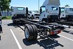 2025 Chevrolet LCF 5500XD Regular Cab RWD Cab Chassis for sale #CS01606 - photo 5