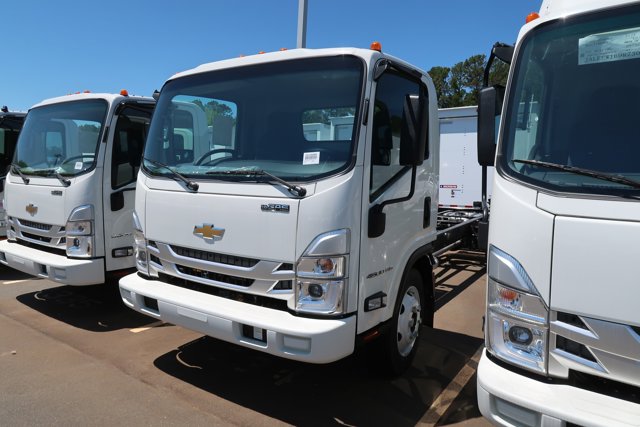 New 2025 Arc White Chevrolet  image 4