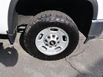 2022 Chevrolet Silverado 2500 Regular Cab SRW RWD Pickup for sale #DCT5011A - photo 31