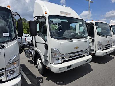 2024 Chevrolet LCF 5500XD Regular Cab RWD Cab Chassis for sale #FR09174 - photo 1