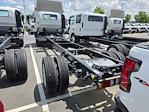 2024 Chevrolet LCF 5500XD Regular Cab RWD Cab Chassis for sale #FR09216 - photo 4