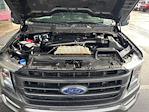 2023 Ford F-150 SuperCrew Cab 4WD Pickup for sale #2A09928 - photo 24