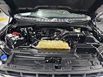 2021 Ford F-150 SuperCrew Cab 4WD Pickup for sale #2A42182 - photo 29