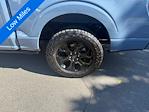 2023 Ford F-150 SuperCrew Cab 4WD Pickup for sale #2A46529 - photo 11