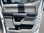 2017 Ford F-250 Crew Cab 4x4 Pickup for sale #2B36483 - photo 20