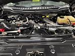 2017 Ford F-250 Crew Cab 4WD Pickup for sale #2C63933 - photo 37