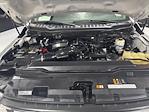 2024 Ford F-250 Crew Cab 4WD Pickup for sale #2D58237 - photo 31