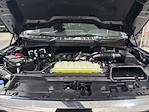 2025 Ford F-150 SuperCrew Cab 4WD Pickup for sale #2E50114 - photo 38