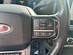 Used 2024 Ford F-350 Platinum Crew Cab for sale #2F84612 - photo 14