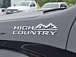 2025 Chevrolet Silverado 1500 Crew Cab 4WD Pickup for sale #CCN3618 - photo 19