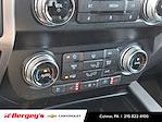 2019 Ford F-150 SuperCrew Cab 4WD Pickup for sale #CCU2786Q - photo 20