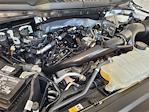 2024 Ford F-150 Regular Cab 4x2 Pickup for sale #U5208 - photo 27