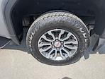 2020 GMC Sierra 1500 Crew Cab 4x4 Pickup for sale #1A1002 - photo 11