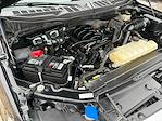 Used 2023 Ford F-150 XLT SuperCrew Cab for sale #1A1115 - photo 41