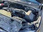 Used 2019 Ford F-150 XLT SuperCrew Cab for sale #1C1284A - photo 41