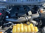 Used 2019 Ford F-150 XLT SuperCrew Cab for sale #1C1309A - photo 46