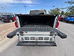 2022 Chevrolet Silverado 3500 Crew Cab 4x4 Pickup for sale #1S1004 - photo 29