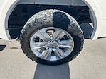 2019 Ford F-150 SuperCrew Cab 4WD Pickup for sale #1S1142 - photo 13