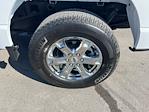 2023 Ford F-150 SuperCrew Cab 4x4 Pickup for sale #A22109 - photo 15