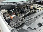 2023 Ford F-350 Crew Cab SRW 4x4 Pickup for sale #A22197 - photo 48