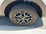2024 Hyundai Santa Cruz Double Cab 4x4 Pickup for sale #A22350 - photo 14