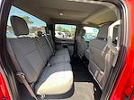 2020 Ford F-150 SuperCrew Cab 4x4 Pickup for sale #A22670 - photo 27