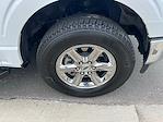 2024 Ford F-150 SuperCrew Cab 4x4 Pickup for sale #A22696 - photo 12