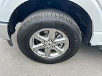 2024 Ford F-150 SuperCrew Cab 4x4 Pickup for sale #A22696 - photo 13