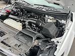 2024 Ford F-150 SuperCrew Cab 4x4 Pickup for sale #A22696 - photo 45