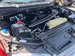 2020 Ford F-150 SuperCrew Cab 4x4 Pickup for sale #C30773A - photo 57