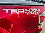 2019 Toyota Tacoma Double Cab 4x4 Pickup for sale #T31222A - photo 14
