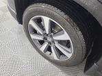 2025 Honda Pilot AWD SUV for sale #51224A - photo 8