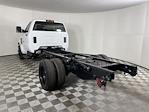 2024 Chevrolet Silverado 5500 Regular Cab DRW 4x2, Cab Chassis for sale #P244851 - photo 8