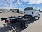 2024 Chevrolet Silverado 5500 Crew Cab DRW 4x2, Cab Chassis for sale #P247508 - photo 2