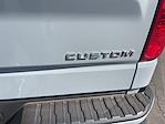 2024 Chevrolet Silverado 1500 Crew Cab 4x2 Pickup for sale #P254067A - photo 19
