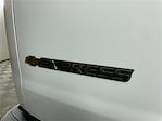 2025 Chevrolet Express 2500 RWD Empty Cargo Van for sale #P255091 - photo 22