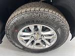 2025 Chevrolet Silverado 1500 Crew Cab 4x4 Pickup for sale #P256339 - photo 10